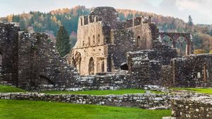 Tintern Abbey, Wales (© Lynda Morris Photography/Getty Images)(Bing New Zealand)