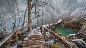 普利特维采湖群国家公园中的高架步道，克罗地亚 (© Alessandro Laporta/Offset by Shutterstock)(Bing China)
