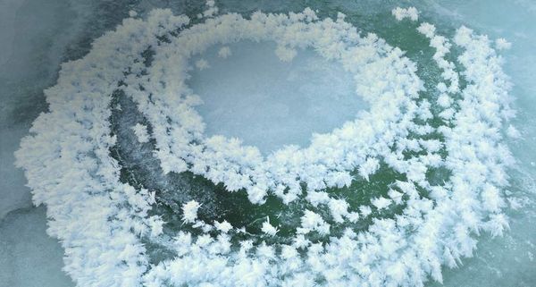 瑞典阿比斯库国家公园中的“冰花”