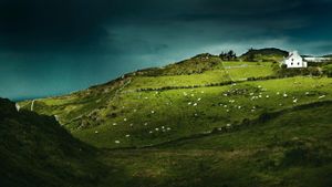 爱尔兰，羊头半岛(曼特瓦) (© Ben Hupfer/Corbis)(Bing China)