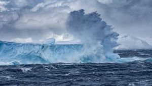 南极洲的浮动冰山 (© Ray Hems/Getty Images)(Bing China)