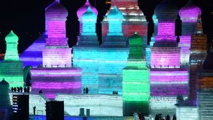Festival international de la glace et de la neige, Harbin, Chine (© WANG ZHAO/AFP/Getty Images)(Bing France)