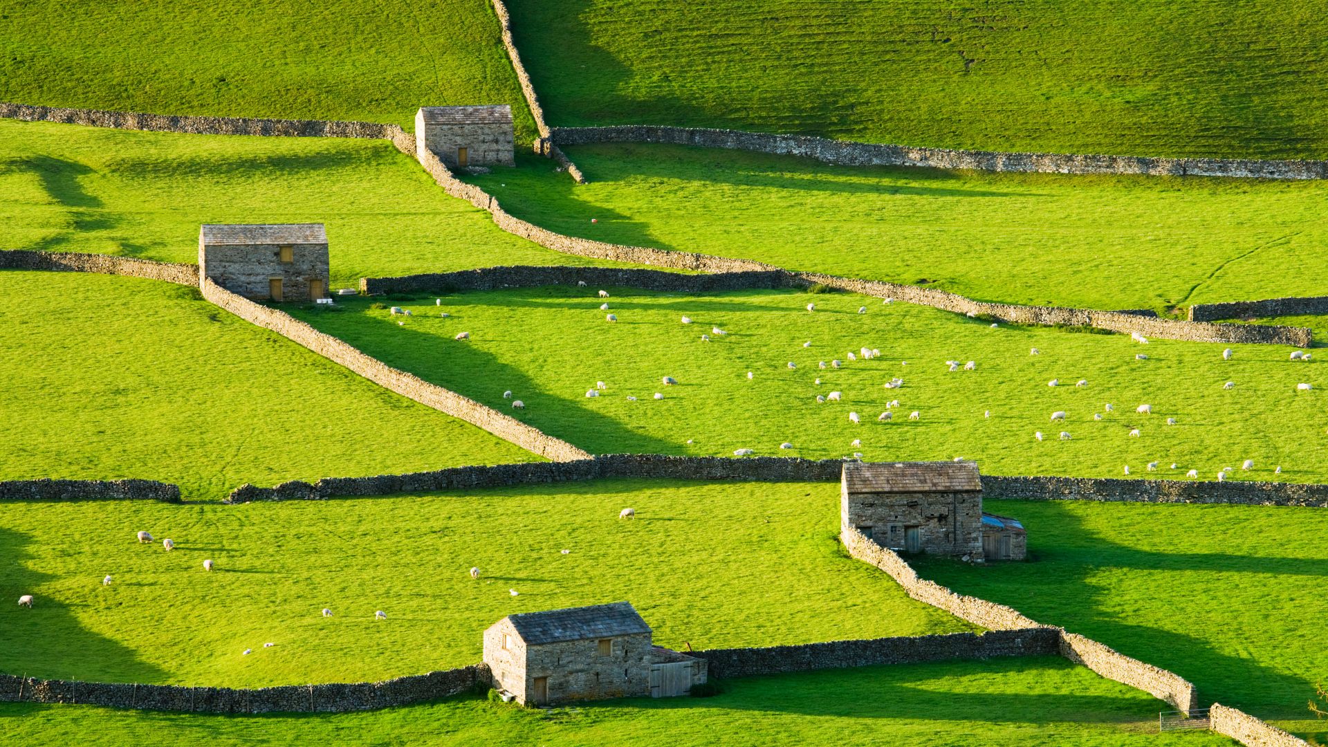 Gunnerside, Swaledale, Parco Nazionale delle Yorkshire Dales, Inghilterra