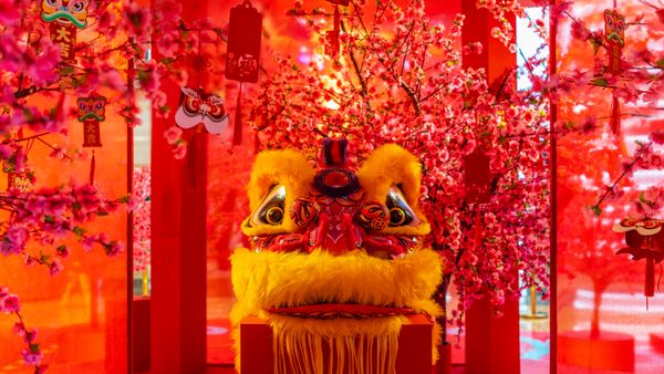 中国舞狮，大年初一