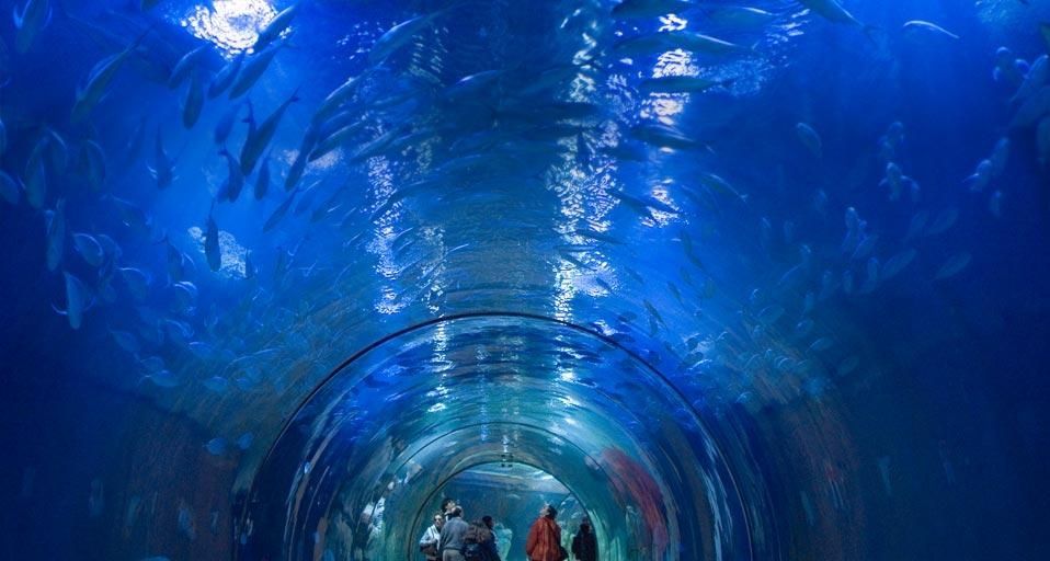 ValenciaAquarium