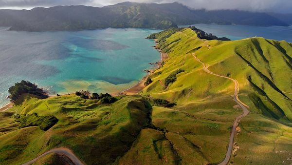 Aerial view of Marlborough Sounds, New Zealand