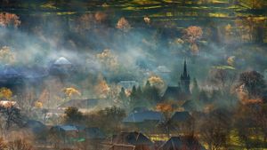 薄雾笼罩的特兰西瓦尼亚乡村，罗马尼亚 (© Alex Robciuc/REX/Shutterstock)(Bing China)