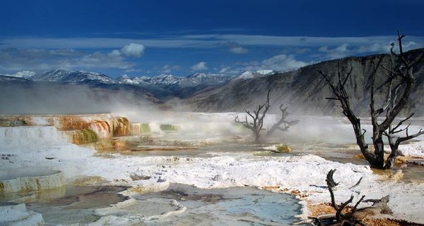 Mammoth Hot Springs, Yellowstone National Park, Wyoming, USA