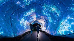 ｢タロンガ動物園のライトアップ｣オーストラリア, シドニー (© Wendell Teodoro/REX/Shutterstock)(Bing Japan)