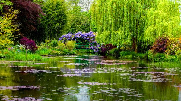 Monet's water garden in Giverny, France