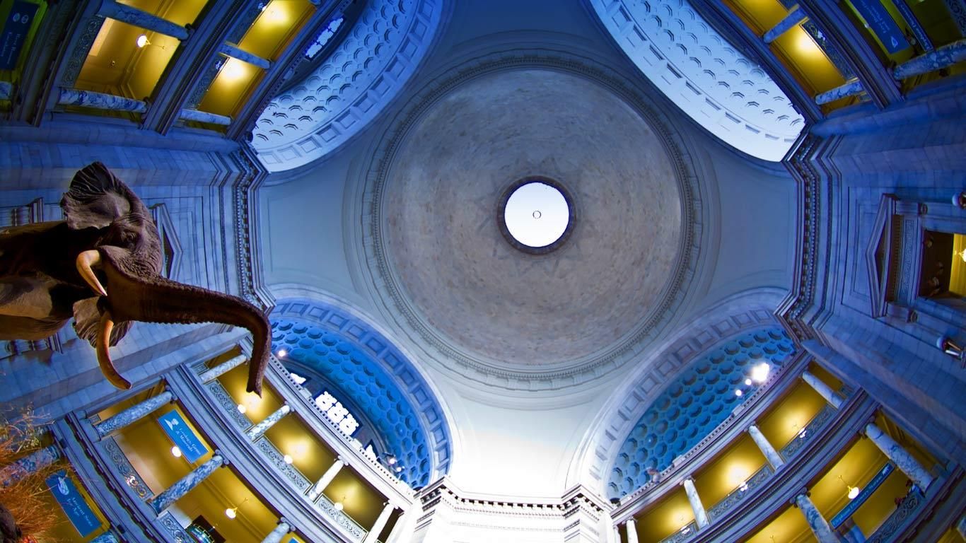 Rotunda of the Smithsonian Institution National Museum of Natural History in Washington, D.C.