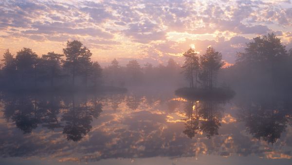Knuthöjdsmossen nature reserve, Sweden