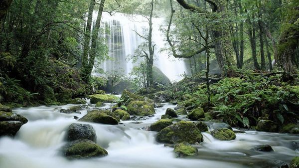 Jerusalem River Waterfalls, Tasmania, Australia