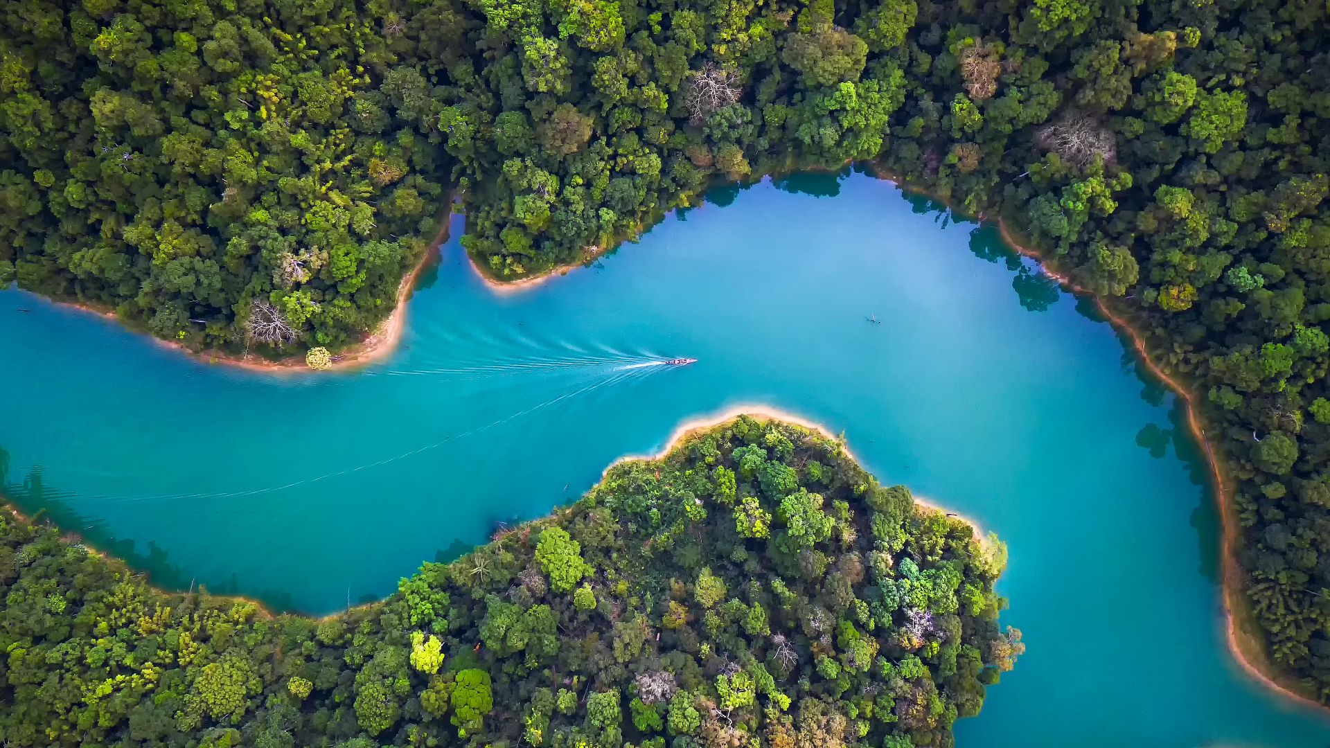 Vista aerea del Parco Nazionale di Khao Sok, Surat Thani, Thailandia