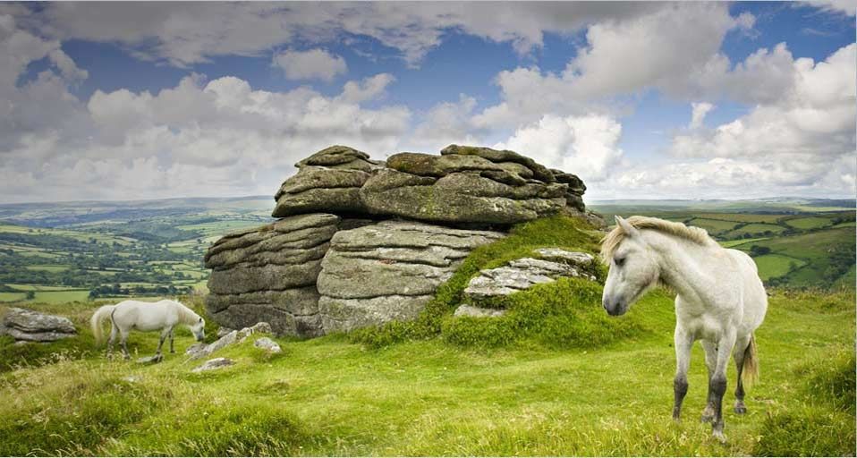 TenTors