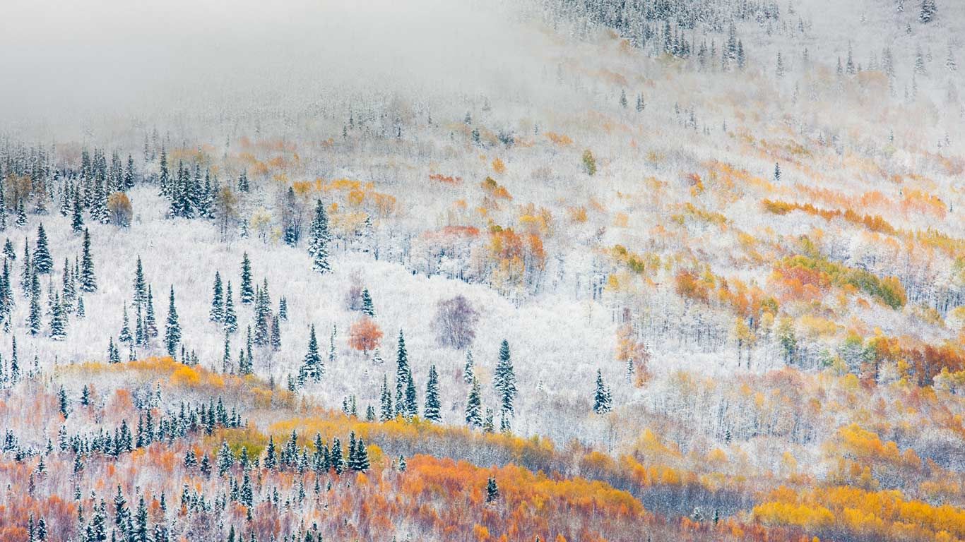Early snowfall near Fairbanks, Alaska