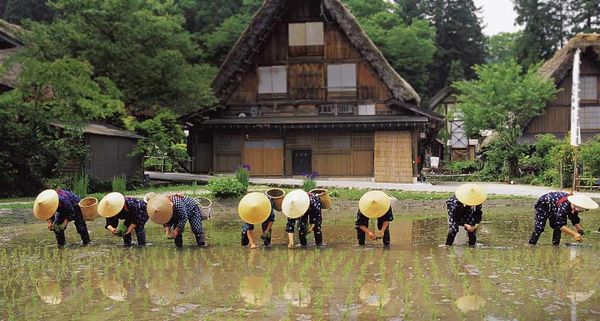 ｢白川郷田植え祭り｣岐阜県, 飛騨市