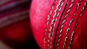 Cricket balls sitting together (© Vikki Ellis/Alamy)(Bing Australia)