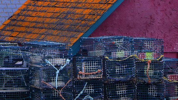 Lobster traps stacked waiting for the lobster fishing season on the Bay of Fundy in Canada.