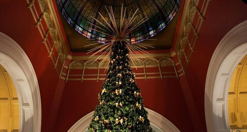 SydneyXmasTree