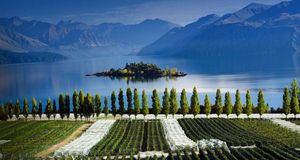 Rippon vineyards and Lake Wanaka, Central Otago, South Island, New Zealand &copy; (Bing United Kingdom)