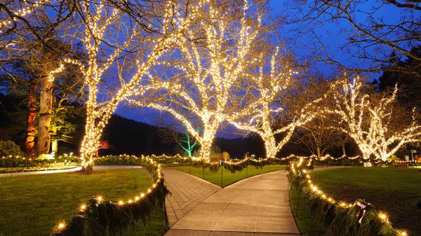 Christmas in Butchart Gardens, Victoria, B.C.
