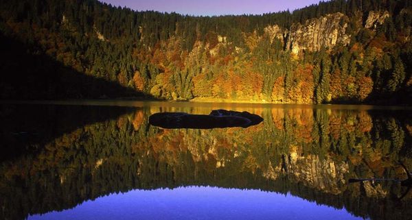Der Feldsee im Herbst, Baden-Württemberg, Deutschland