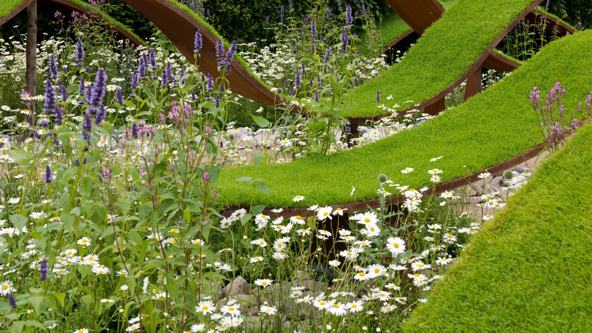 The World Vision Garden at The Hampton Court Palace Flower Show 2016
