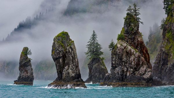 The Cove of Spires in Kenai Fjords National Park near Seward, Alaska