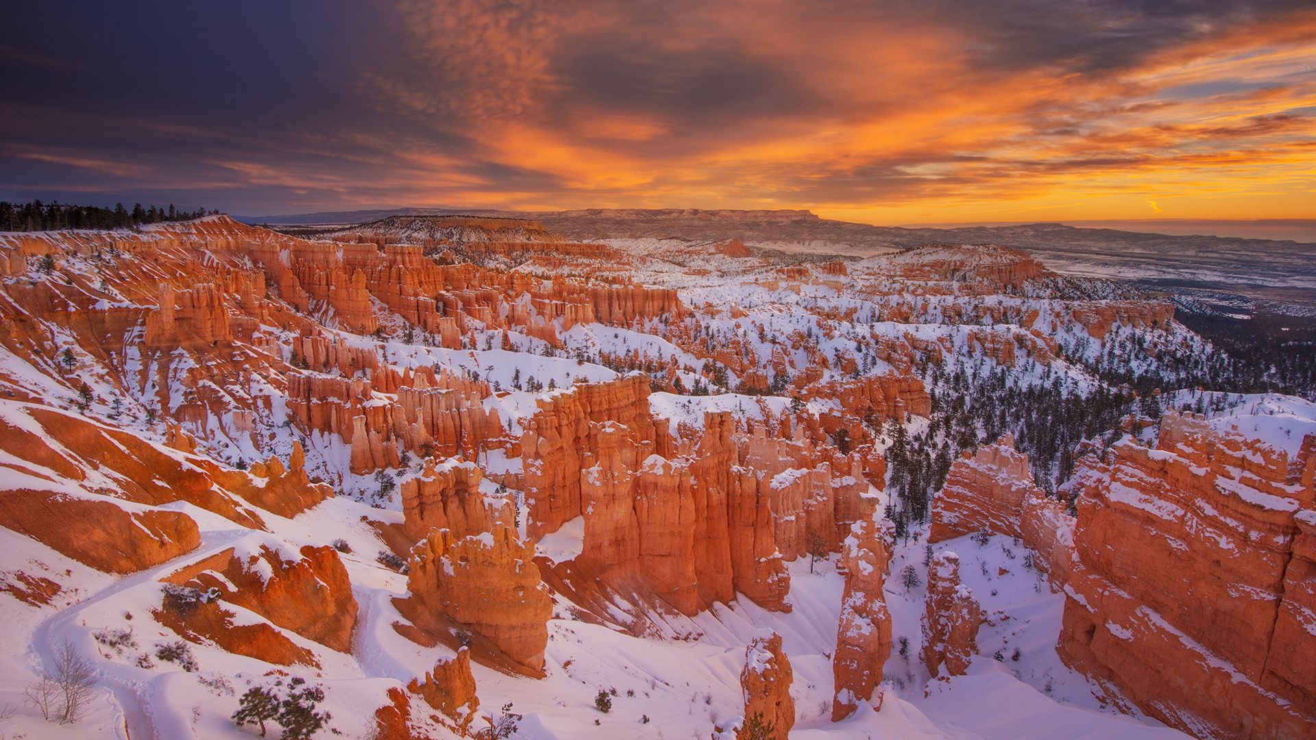 Hoodoos at Bryce Canyon National Park in Utah, USA