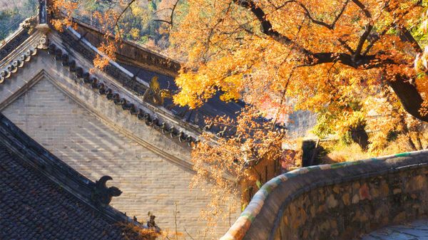 北京潭柘寺秋景