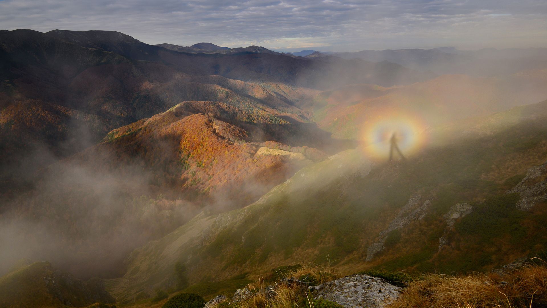 Brocken spectre in Central Balkan National Park, Bulgaria