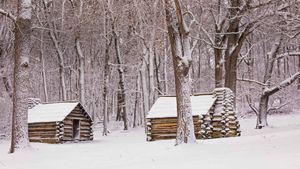 福吉谷国家历史公园中的小屋，宾夕法尼亚 (© Mark C. Morris/Shutterstock)(Bing China)