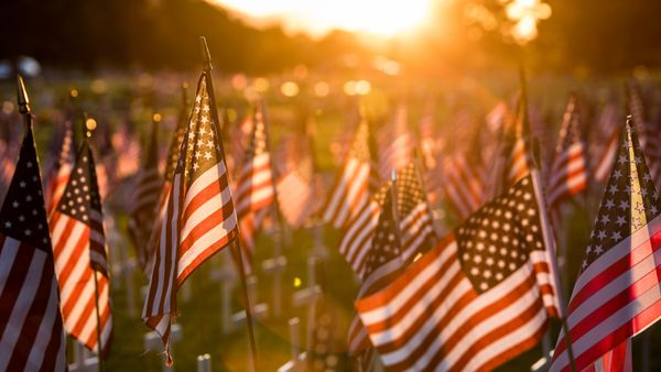 Field of flags set up for Memorial Day