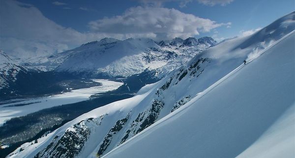 Skier