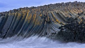 Basalt columns in Kálfshamarsvík cove, Skagi peninsula, Iceland (© Arterra Picture Library/Alamy)(Bing Canada)