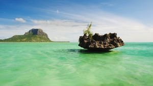 毛里求斯，莫纳山与水中小岛 (© Ocean/Corbis)(Bing China)