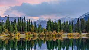 Pine trees reflected in the Forgetmenot Pond in Kananaskis Country, Alberta (© chinaface/Getty images)(Bing Canada)