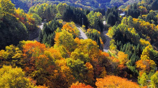 ｢秋の峠｣長野