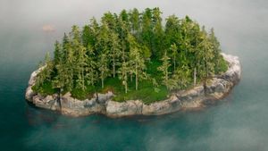 ｢ブロートン群島｣カナダ, ブリティッシュコロンビア州 (© Art Wolfe Inc./Mint Images)(Bing Japan)