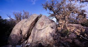 新墨西哥州罗斯威尔裂开的岩石 (© John B. Carnett/Getty Images) &copy; (Bing China)