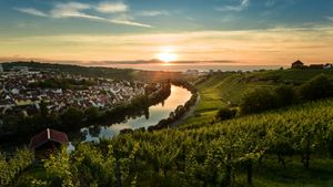 Sonnenuntergang über den Weinbergen von Steinhaldenfeld im Neckartal bei Stuttgart, Baden-Württemberg (© Cyril Gosselin/Getty Images)(Bing Deutschland)