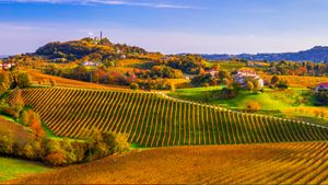 Prosecco Hills of Conegliano and Valdobbiadene, Veneto, Italy (© Olimpio Fantuz/eStock Photo)(Bing Australia)