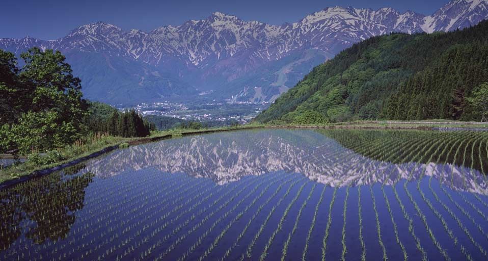 ｢北アルプスと青鬼棚田｣長野, 安曇郡