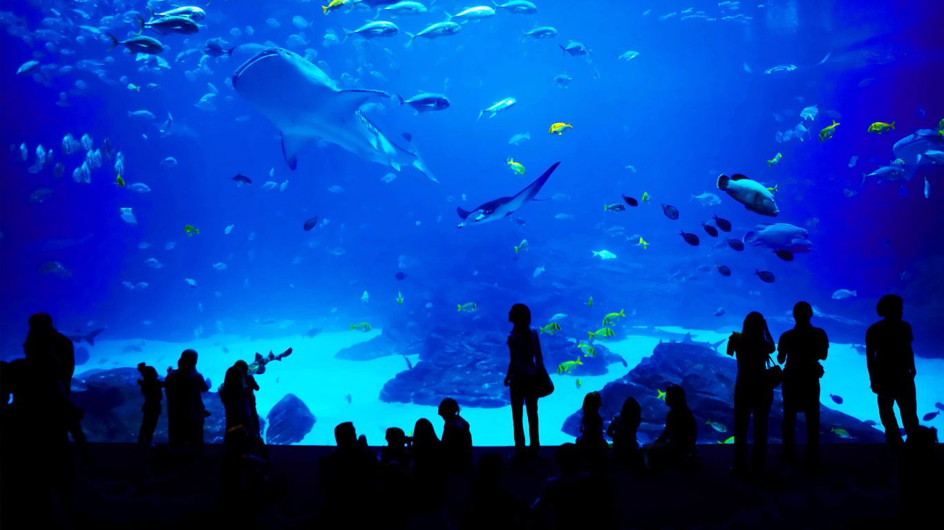 The Georgia Aquarium in Atlanta