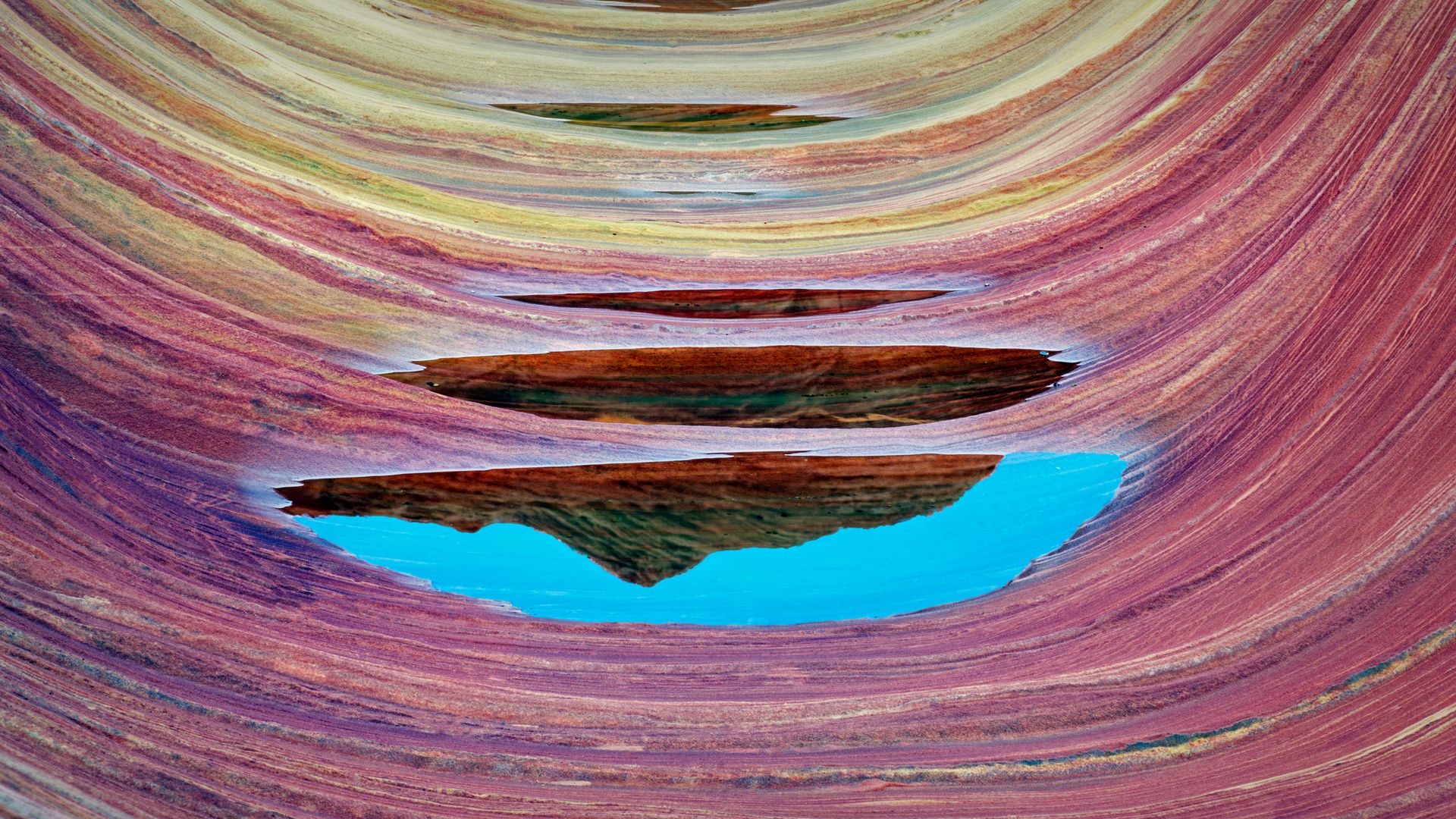 Sandstone formation and pools of water in The Wave, Paria Canyon-Vermillion Cliffs National Monument, Arizona, USA
