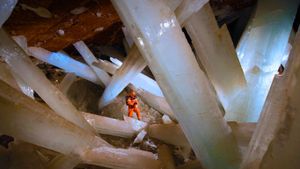 Massive selenite crystals in the Cave of the Crystals in Naica, Mexico (© Carsten Peter/Getty Images)(Bing New Zealand)