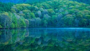 Kagami-ike (Mirror Pond), Nagano, Japan (© Shoji Fujita/Getty Images)(Bing New Zealand)