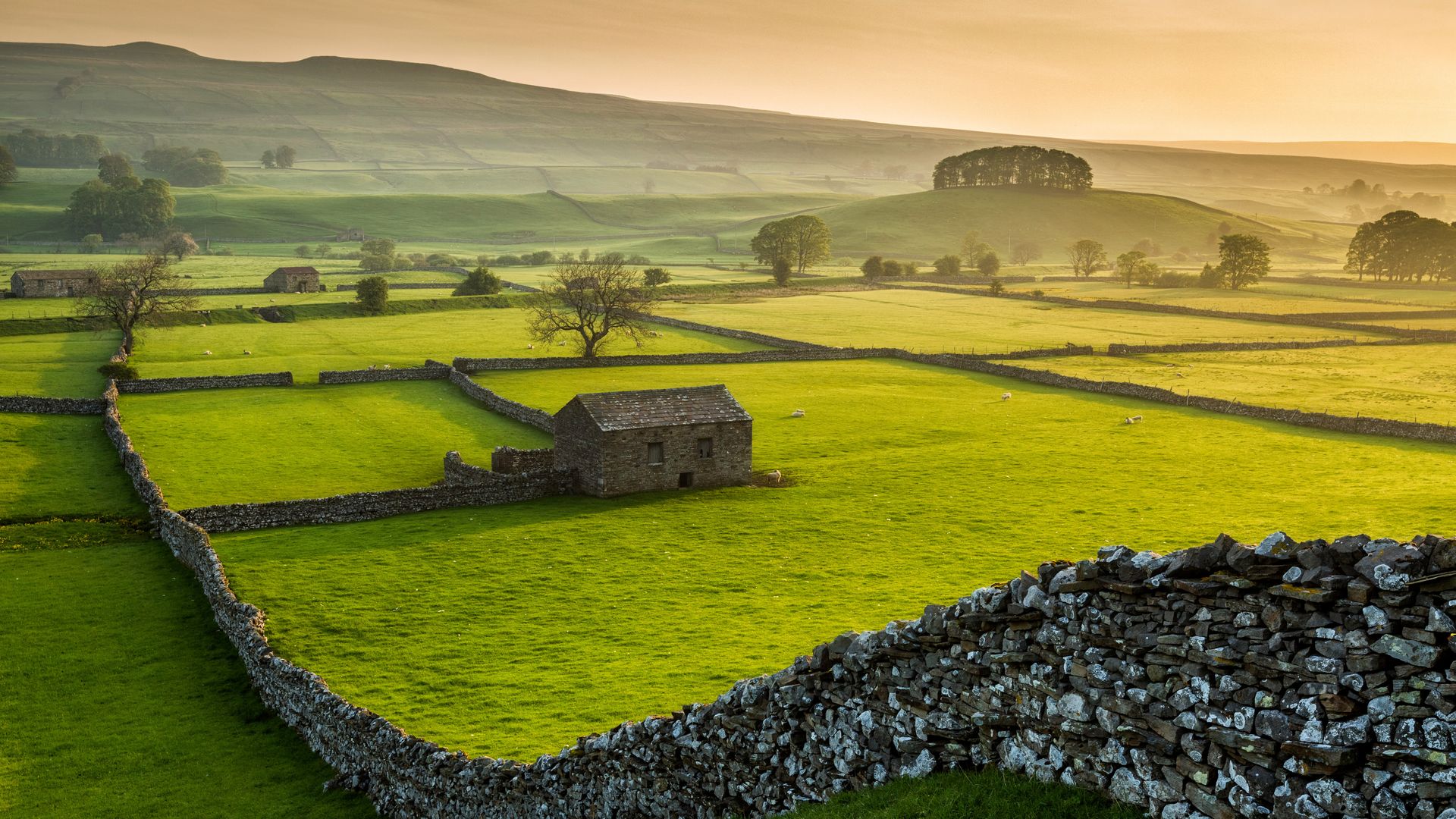 Wensleydale, Yorkshire Dales National Park, North Yorkshire, England
