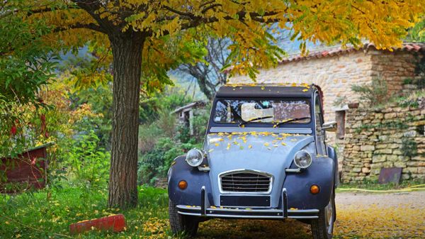 Voiture abandonnée sous un arbre dans le Vaucluse, Provence-Alpes-Côte d'Azur